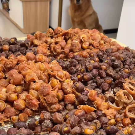 Assorted dry meat dog snacks spread out, showcasing a tempting mix of flavors and textures designed for canine enjoyment