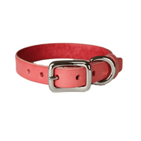 Smooth Calfskin Leather Buckle Cat Collar- Spring