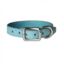 Smooth Calfskin Leather Buckle Cat Collar- Spring